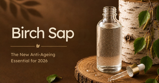 A glass bottle containing birch water, a dropper, and a birch log next to text: Birch Sap: The New Anti-Ageing Essential for 2026.