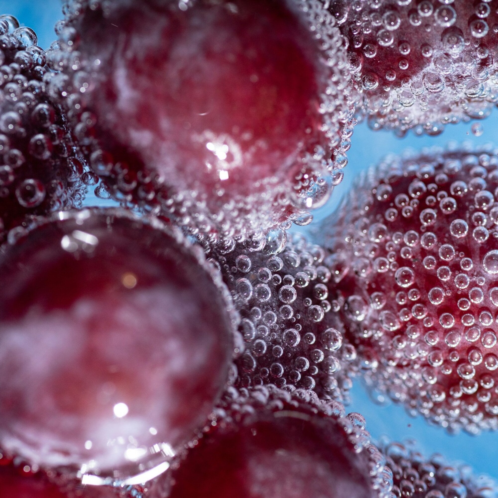 Grape + Lactobacillus Exosomes