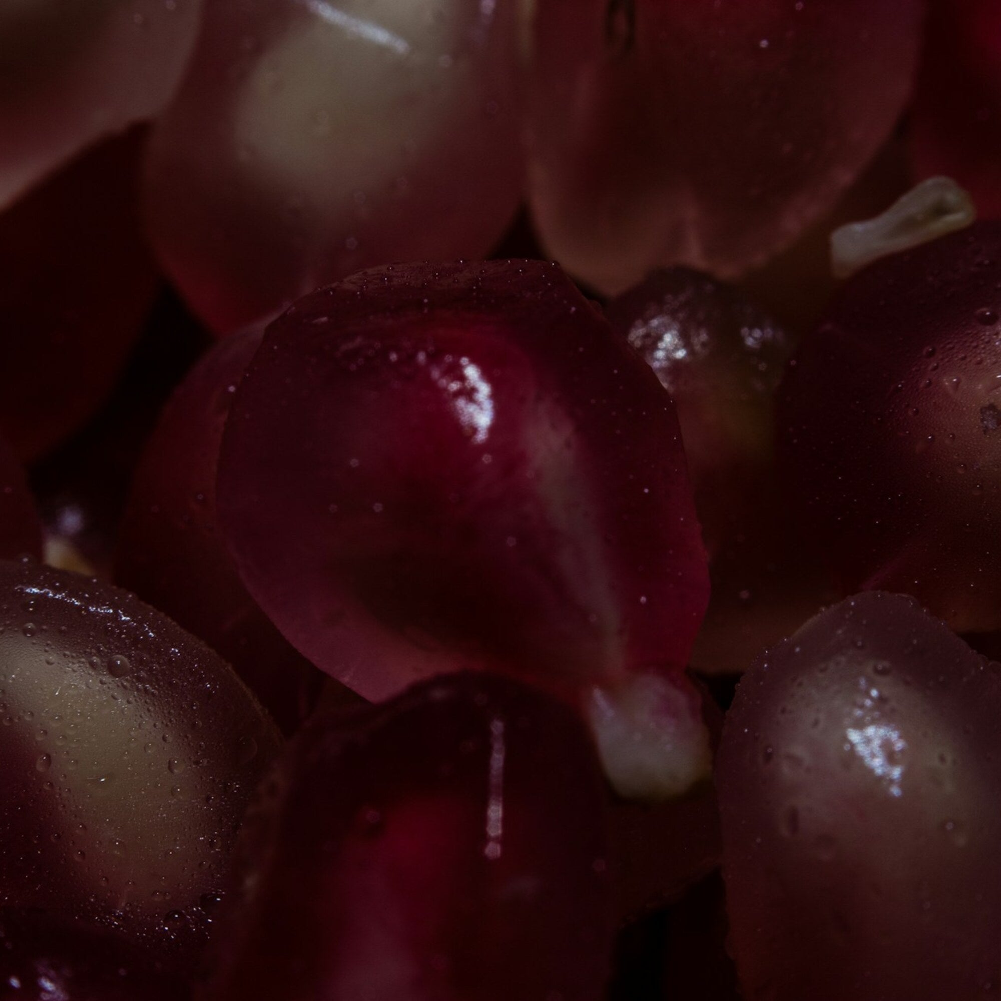 Pomegranate + Pumpkin Enzyme Ferments